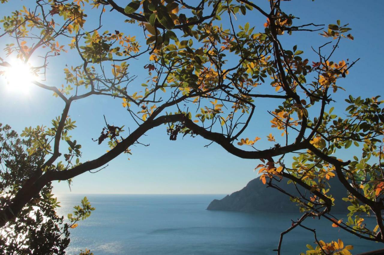 Apartmán A Ca Du Barba Monterosso al Mare Exteriér fotografie